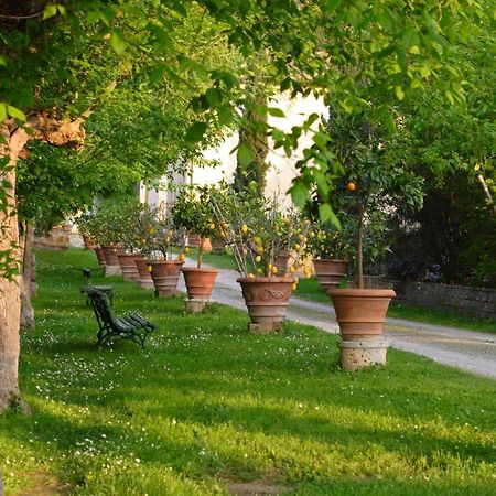 Ginestra Apartment Поджибонси Екстериор снимка